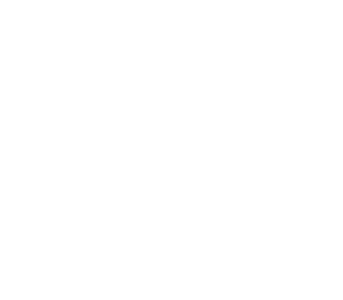 logoTS
